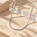 Silver Plated Snake Chain Necklace