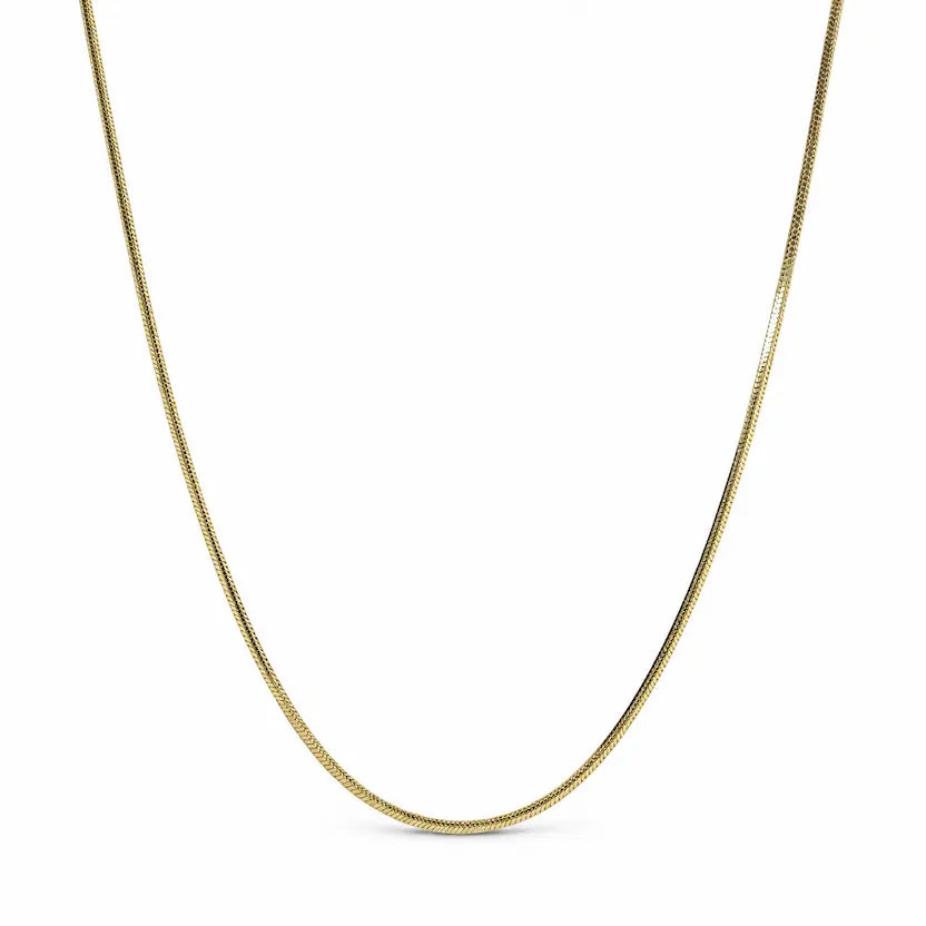 Sleek Gold-Tone Chain Necklace