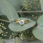 SVORA Lumiere Princess Solitaire Ring in gold-plated stainless steel with a princess-cut center stone.